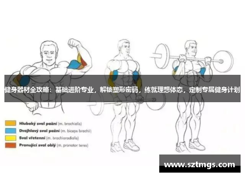 健身器材全攻略：基础进阶专业，解锁塑形密码，练就理想体态，定制专属健身计划