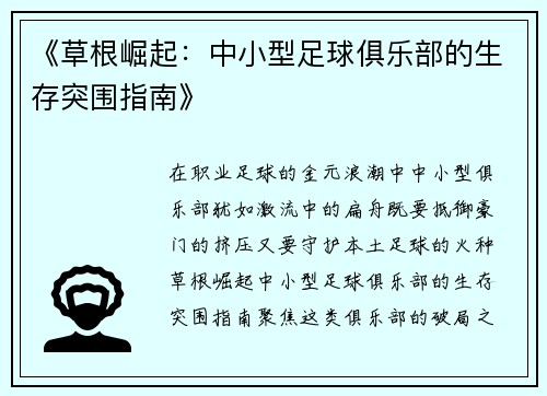《草根崛起：中小型足球俱乐部的生存突围指南》