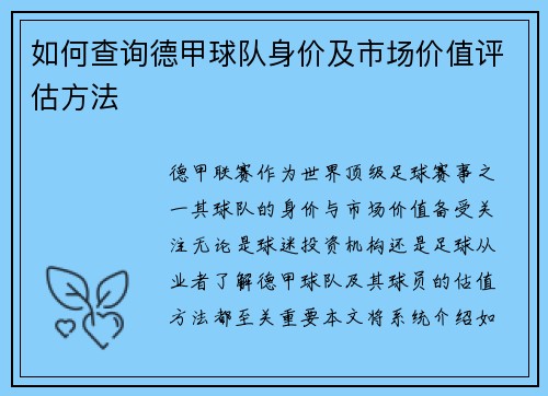 如何查询德甲球队身价及市场价值评估方法