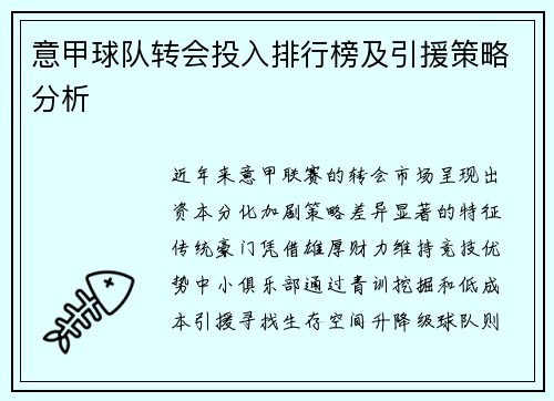 意甲球队转会投入排行榜及引援策略分析