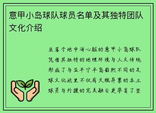 意甲小岛球队球员名单及其独特团队文化介绍