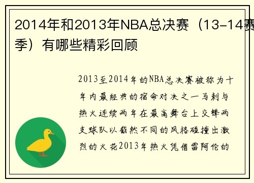 2014年和2013年NBA总决赛（13-14赛季）有哪些精彩回顾