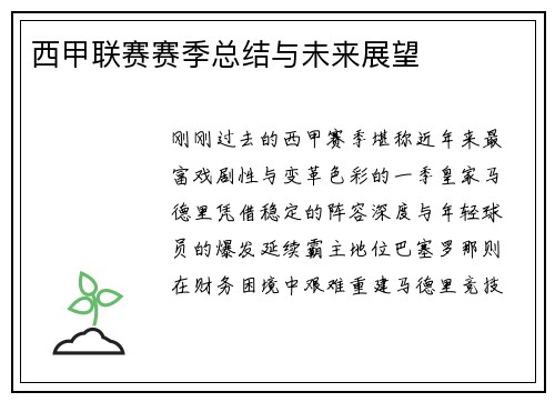 西甲联赛赛季总结与未来展望